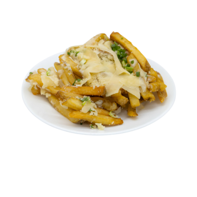 LOADED FRIES